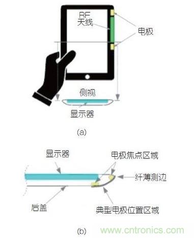 (a)側剖視圖描述；(b)電極焦點區域描述