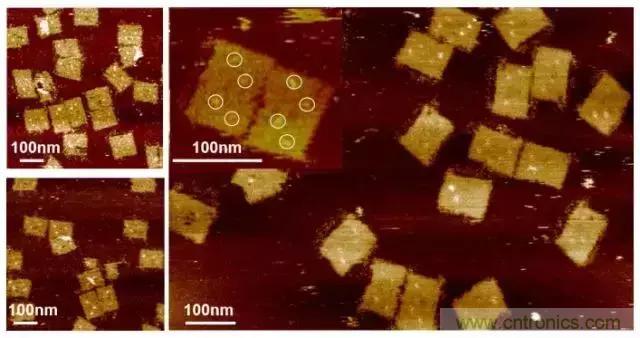 中美科學家聯手，用DNA納米機器人殺死癌細胞