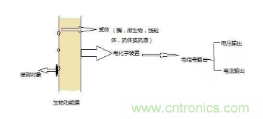 仿生傳感器的定義、原理、分類及應用