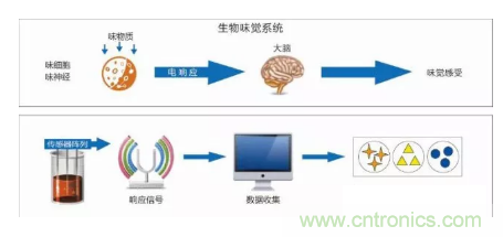 仿生傳感器的定義、原理、分類及應用