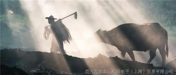 智慧農業大有可為，“數字種地”更輕松