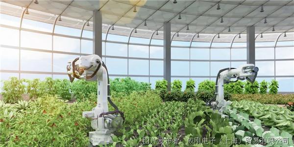 智慧農業大有可為，“數字種地”更輕松