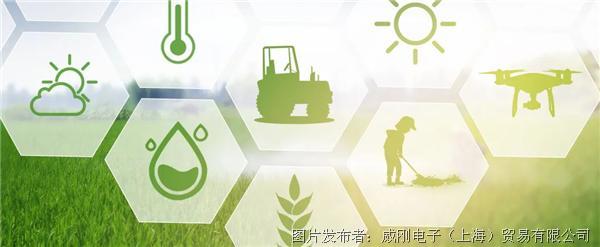 智慧農業大有可為，“數字種地”更輕松